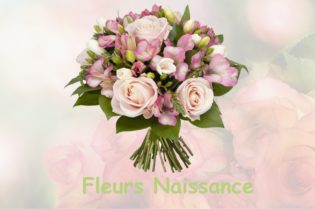 fleurs naissance SAINT-MARDS-DE-FRESNE